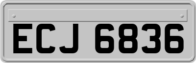 ECJ6836