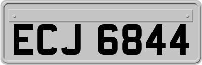 ECJ6844