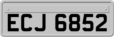 ECJ6852