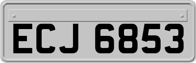 ECJ6853