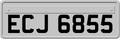 ECJ6855