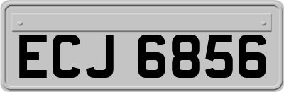 ECJ6856