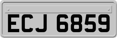 ECJ6859