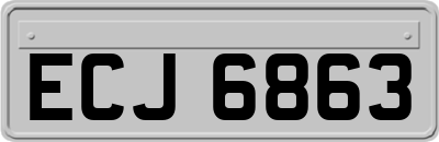 ECJ6863