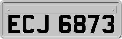 ECJ6873