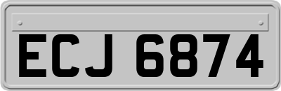 ECJ6874
