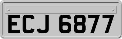 ECJ6877