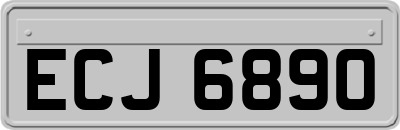 ECJ6890