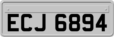ECJ6894