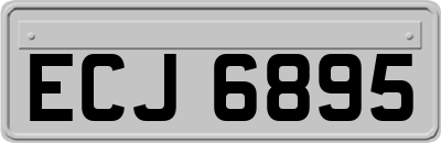 ECJ6895