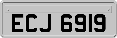 ECJ6919