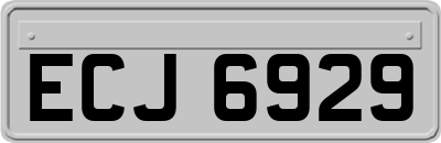 ECJ6929