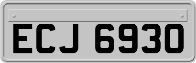 ECJ6930