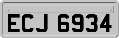 ECJ6934
