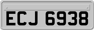 ECJ6938