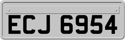 ECJ6954