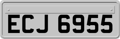 ECJ6955