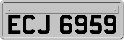 ECJ6959