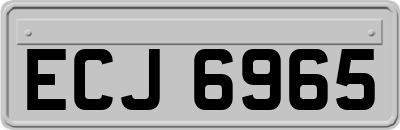 ECJ6965