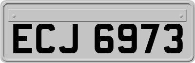 ECJ6973