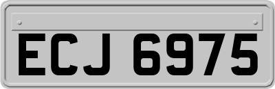 ECJ6975