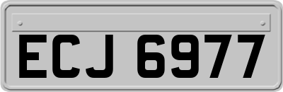 ECJ6977