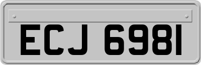 ECJ6981