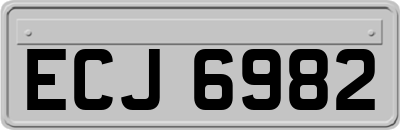 ECJ6982