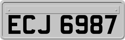 ECJ6987