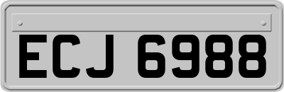 ECJ6988