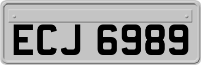 ECJ6989