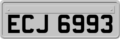 ECJ6993