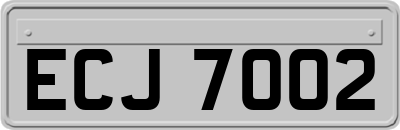 ECJ7002
