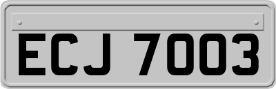 ECJ7003
