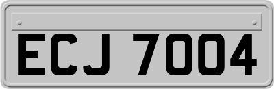 ECJ7004