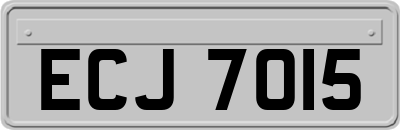 ECJ7015