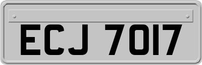 ECJ7017