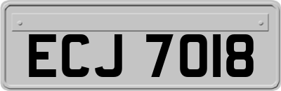 ECJ7018
