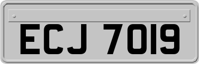 ECJ7019