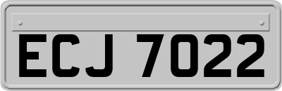 ECJ7022
