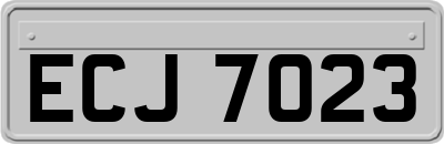 ECJ7023