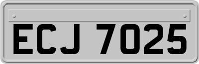 ECJ7025