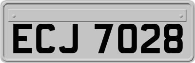 ECJ7028