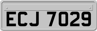 ECJ7029