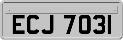 ECJ7031