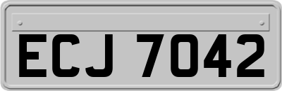 ECJ7042