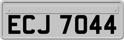 ECJ7044