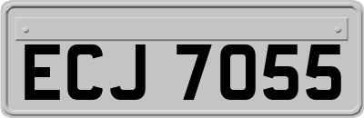 ECJ7055