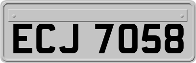 ECJ7058