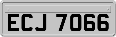 ECJ7066